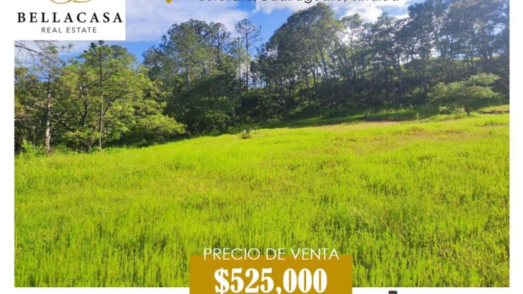 EN VENTA TERRENO CAMPESTRE, SURUTATO, BADIRAGUATO, SINALOA