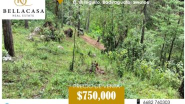 TERRENO CAMPESTRE EN VENTA, EJ. EL TRIGUITO, BADIRAGUATO, SINALOA