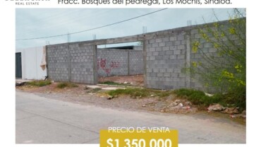 TERRENO EN VENTA FRACC. BOSQUES DEL PEDREGAL, LOS MOCHIS, AHOME, SINALOA