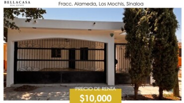 CASA EN RENTA, FRACC. ALAMEDA, LOS MOCHIS, SINALOA