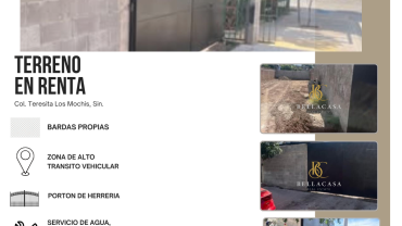 TERRENO EN RENTA COL. TERESITA, LOS MOCHIS, SINALOA
