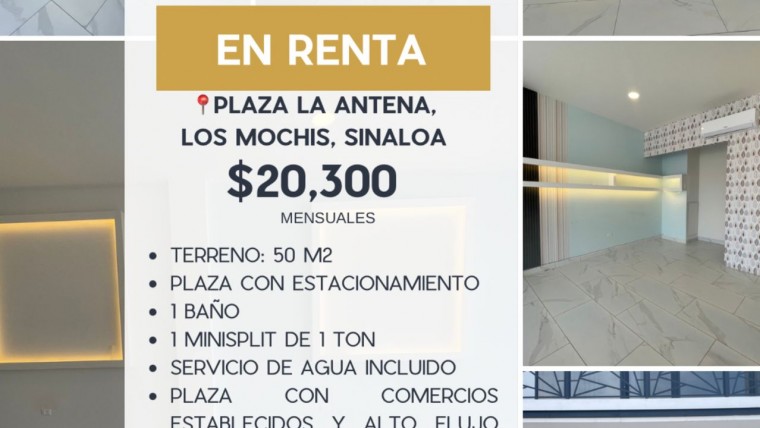 LOCAL EN RENTA PLAZA LA ANTENA, LOS MOCHIS, SINALOA